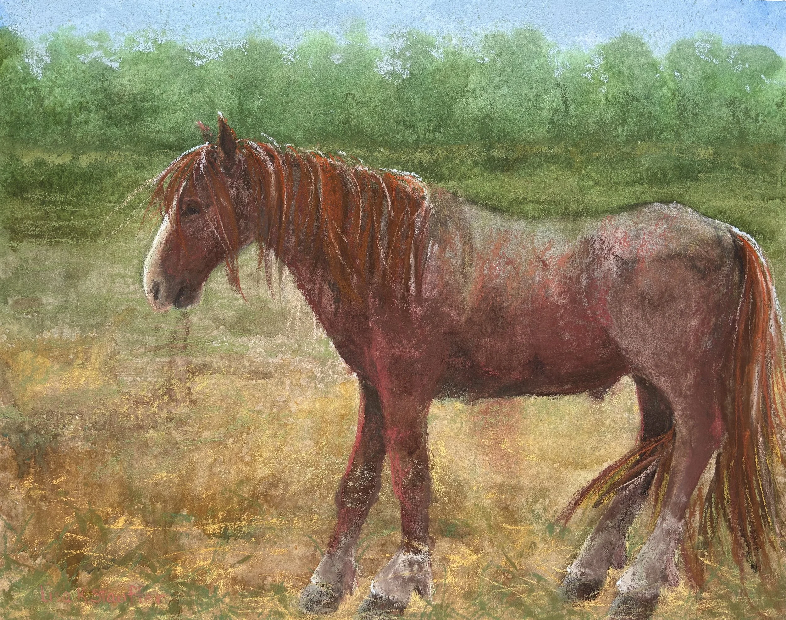 Stauffer, Lisa
