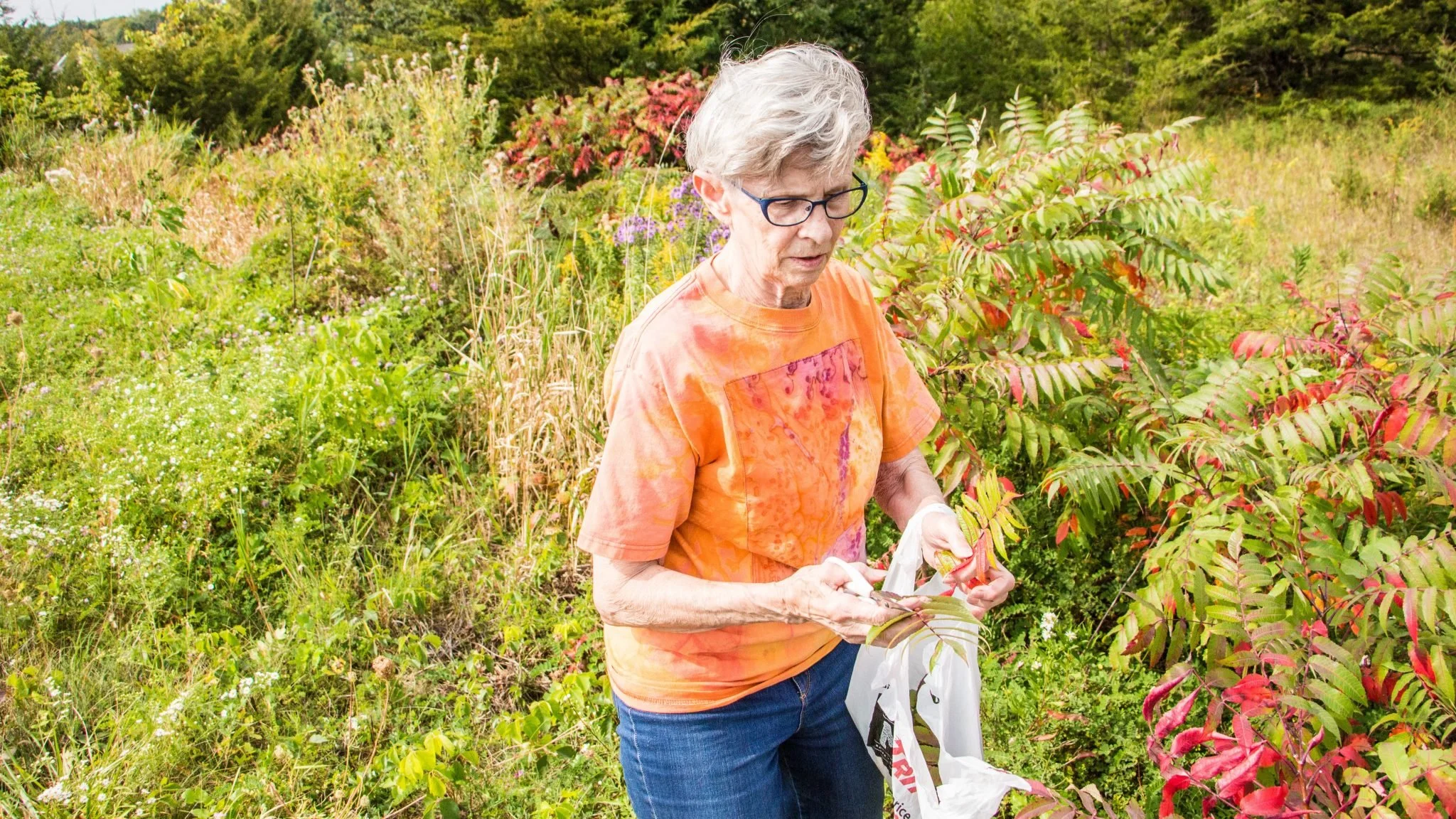 Judy Saye Willis headshot.jpg