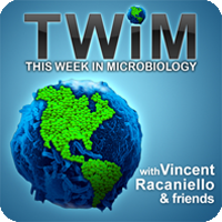 Dr. Wang is featured on the weekly podcast: This Week in Microbiology