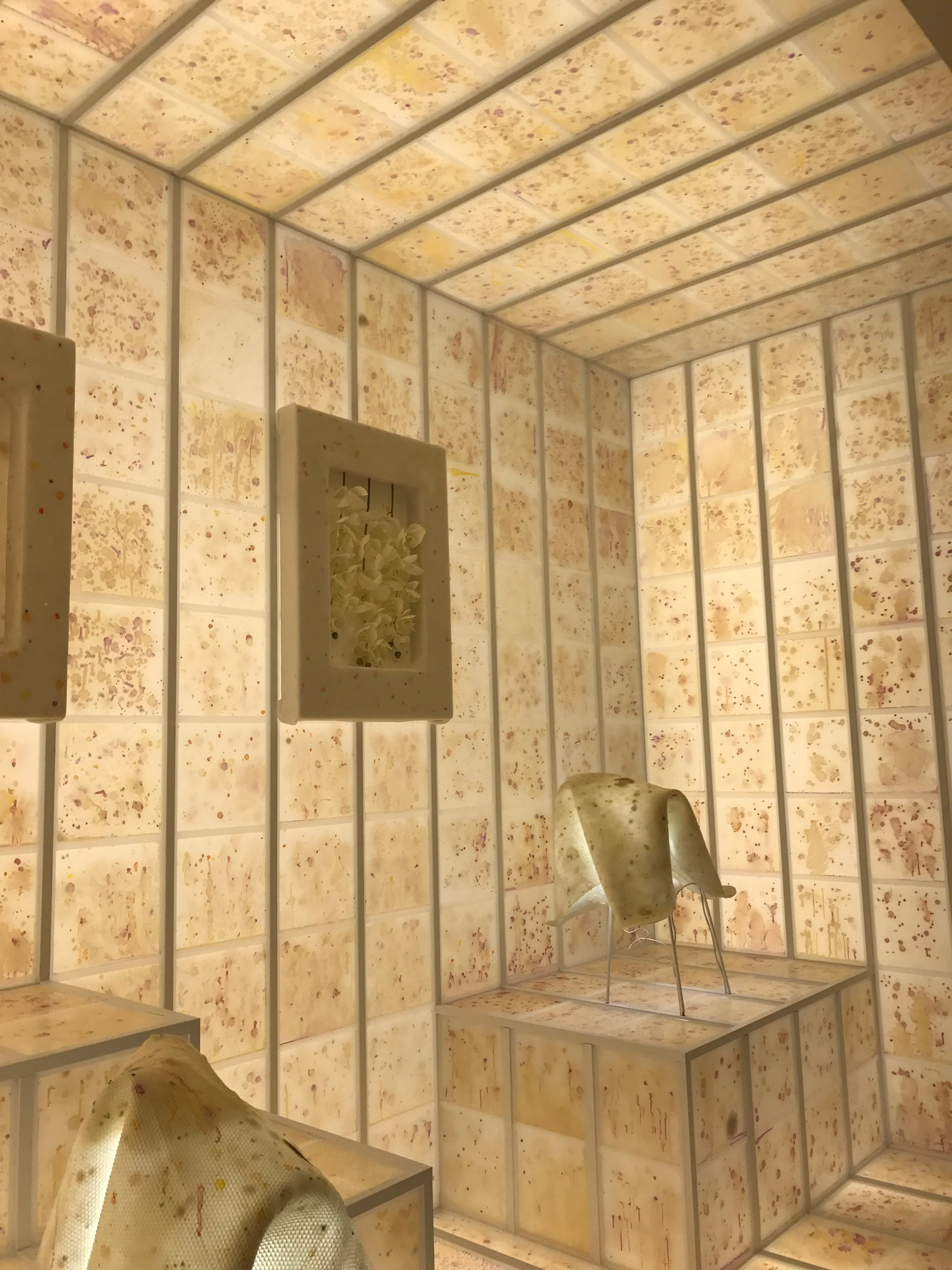 Graduate students Frank Cusimano and Ross McBee help put together bacterial bio-art exhibit at the Guggenheim Museum