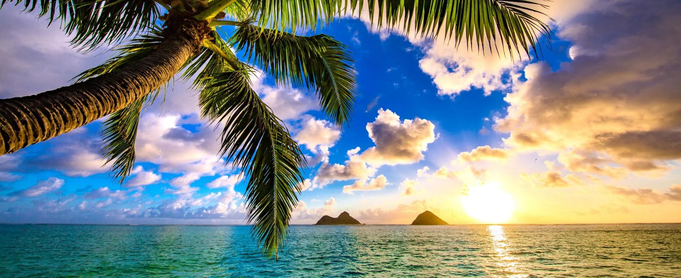 hawaii stock.jpg
