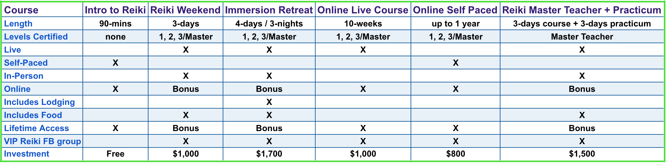 VIP Reiki Program Overview final.png