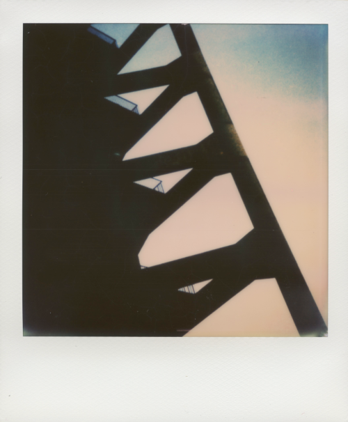 tumblr_nju1l1IVpX1u78nrao1_500.png