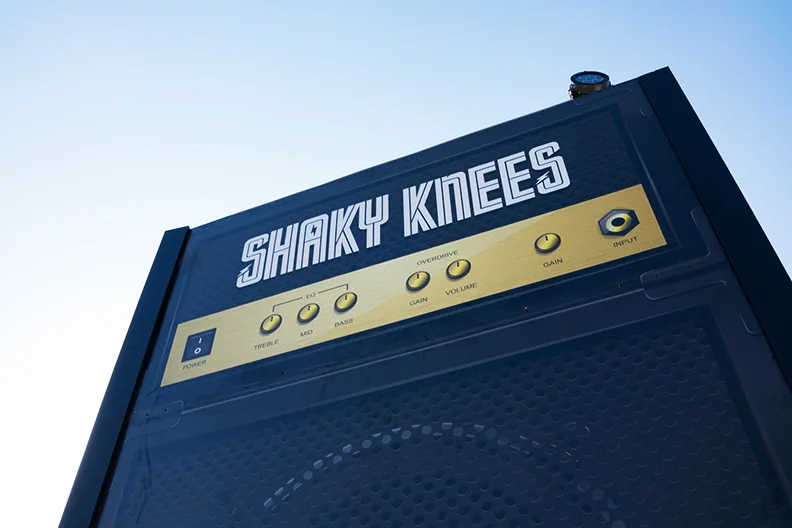 KneesAmp.jpg