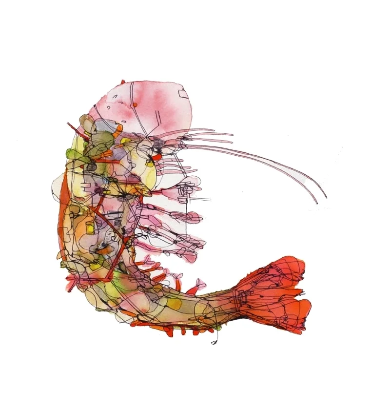 Legal Theory Workshop