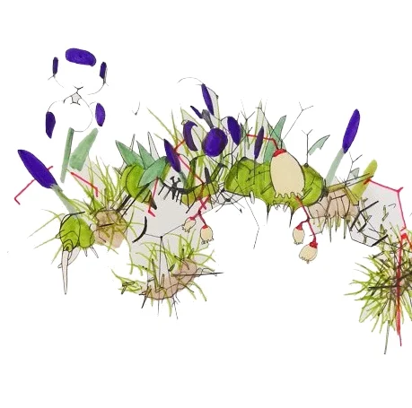 Legal Theory Workshop