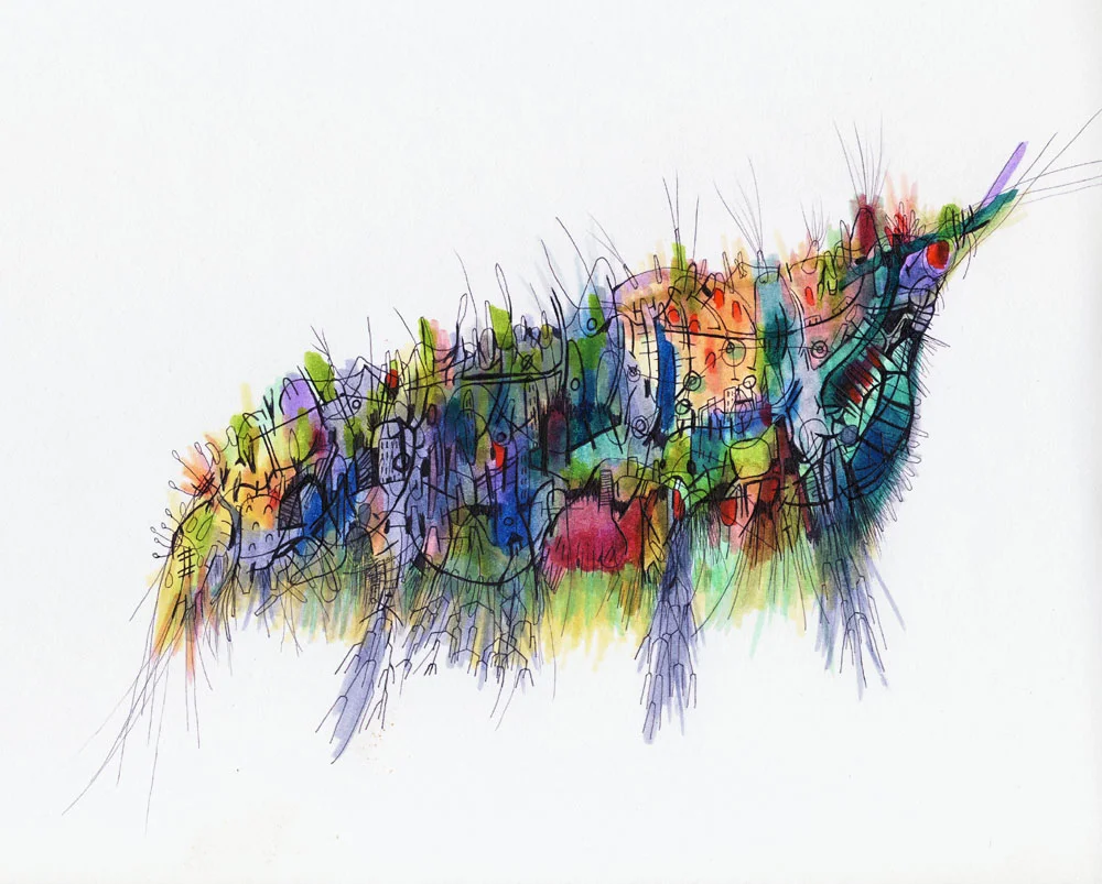 Seminar - Critical Legal Theories: Everything You Ever Wanted to Know About Them but Never Dared Ask