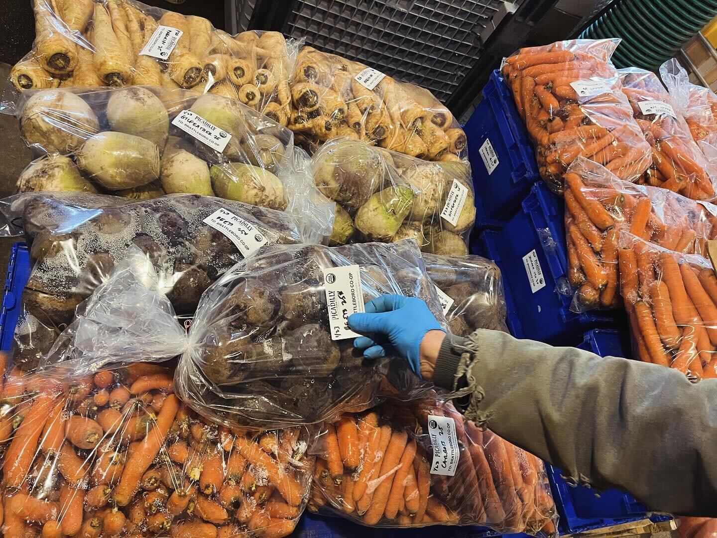 It may be the middle of January, but we&rsquo;ve got plenty of farm veggies heading out the door today.  Find them at the co-op&rsquo;s in Keene, Brattleboro, Greenfield, as well as local farm stands Archway and Upinngil 🤤

@monadnockcoop @brattlebo