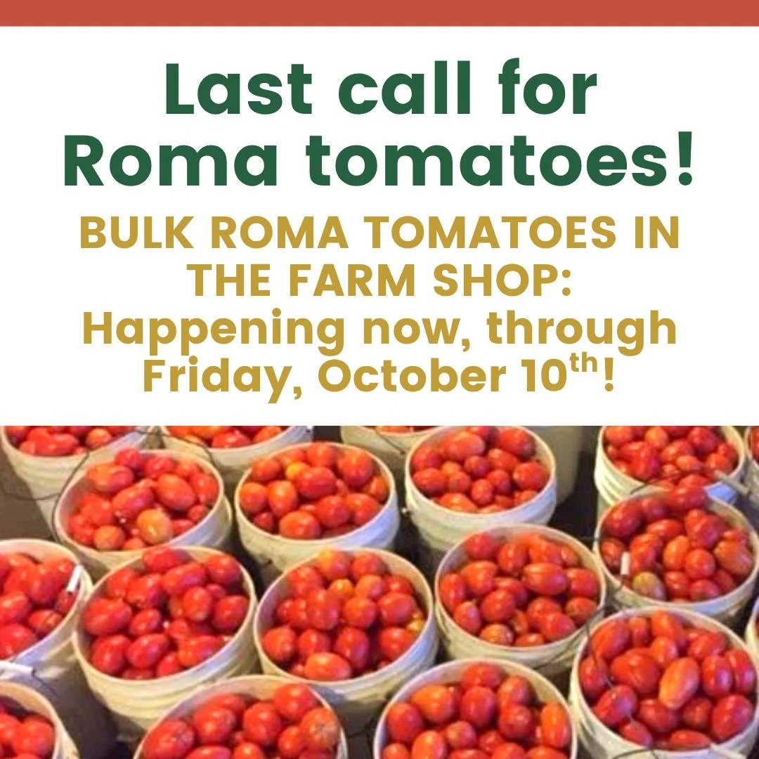 Frost expected this week...get your organic tomatoes frozen and canned for the winter!
🍅🍅🍅🍅🍅

BULK ROMA TOMATOES IN THE FARM SHOP SELF-SERVE, now through Friday, October 10th. 
$39/half bushel

Additional BULK VEGGIES
can be pre-ordered for pick