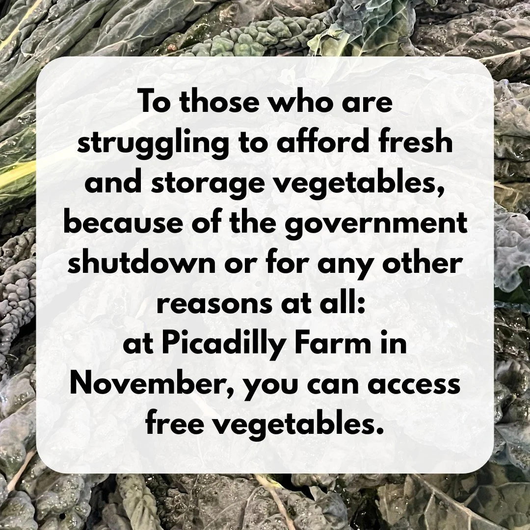 To those who are struggling to afford fresh and storage vegetables, because of the government shutdown or for any other reasons at all: at Picadilly Farm in November, you can access free vegetables.

Here's how: *free veggies coupons* will be availab