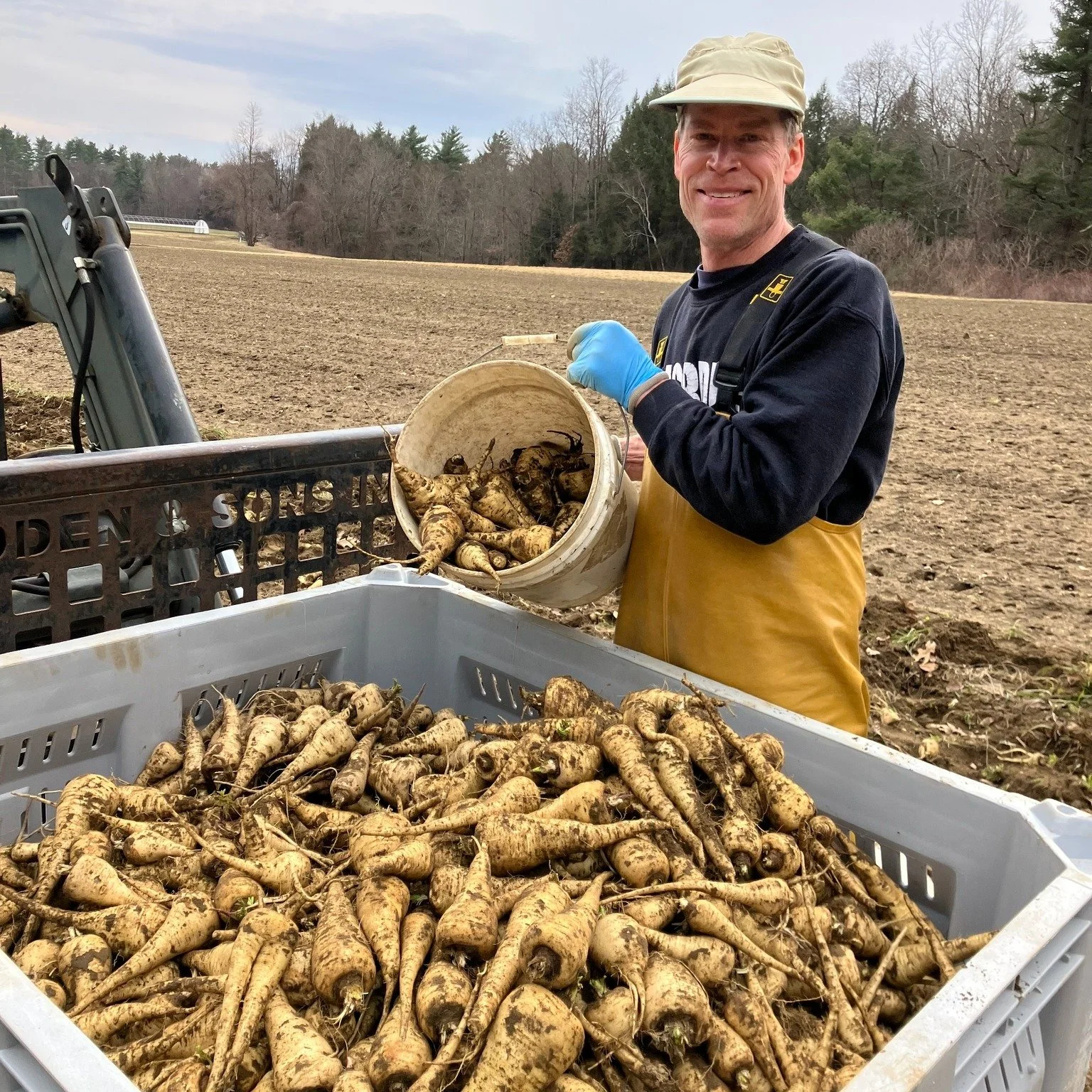 Signs of spring! Check out all of those overwintered parsnips 🤤 

2026 here we go 🌱

#harvest #seedlings #greenhouse #organic #locavore