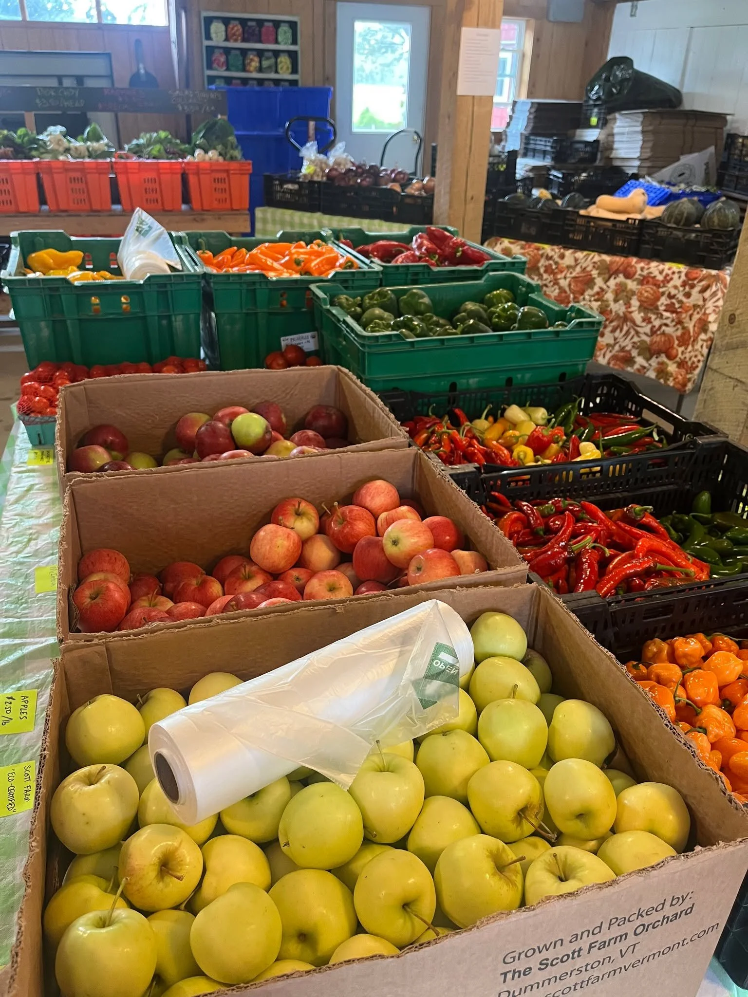 The Farm Shop is open now until noon today, with plenty of great organic veggies in stock! Come stock up on veggies, apples, maple syrup, etc. before the storm settles in!

🌶️🫑🥒🥔🫜🥕🧄🧅🍆🍅🥬

264 S Parrish Rd, Winchester, NH 03470

#eatlocal #s