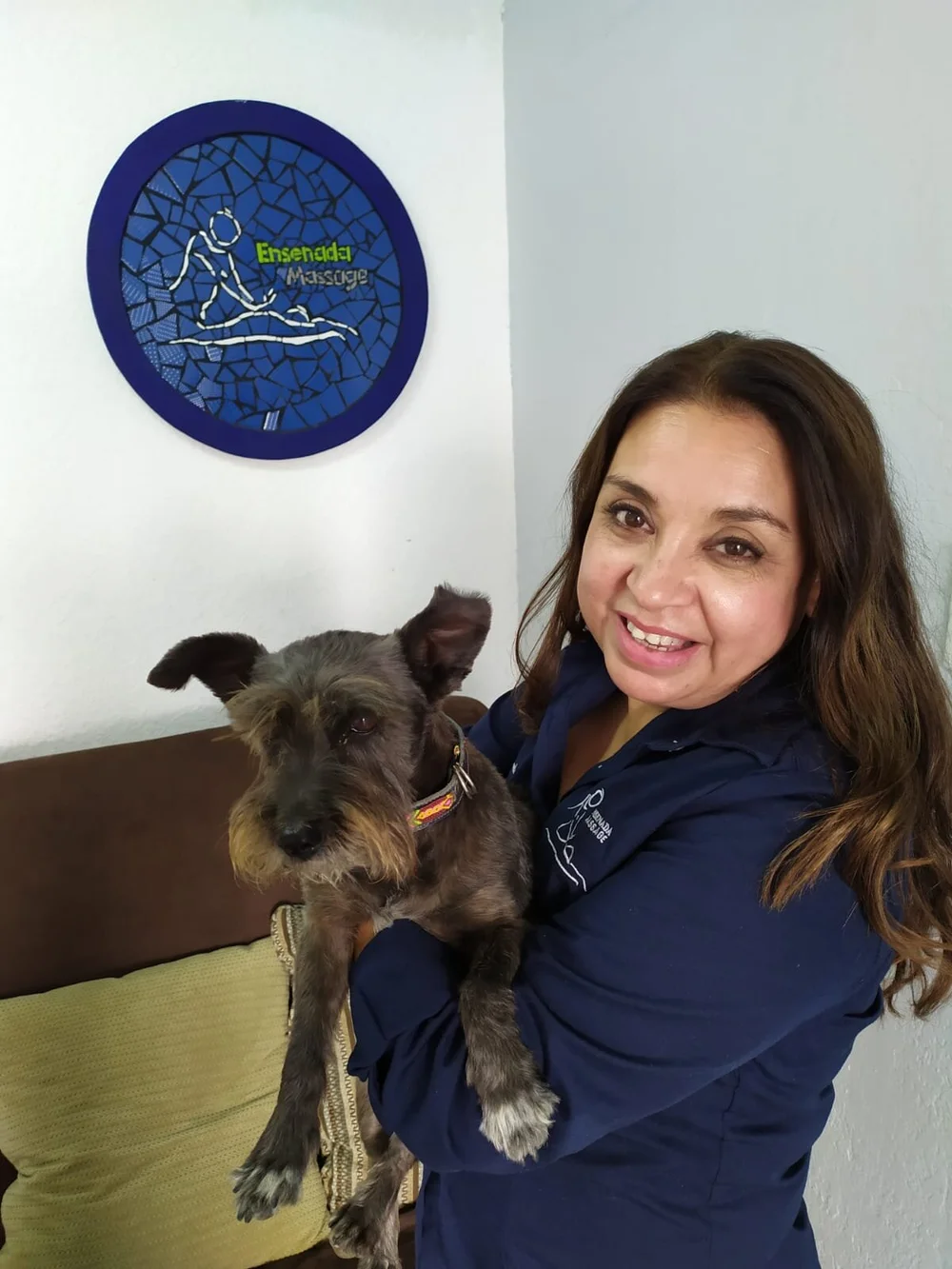 Total 40+ images dog spa ensenada Viaterra.mx