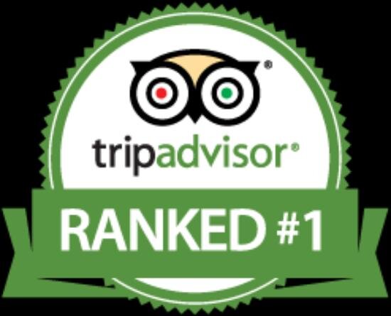 Ensenada-Excursion-Best-TripAdvisor.png