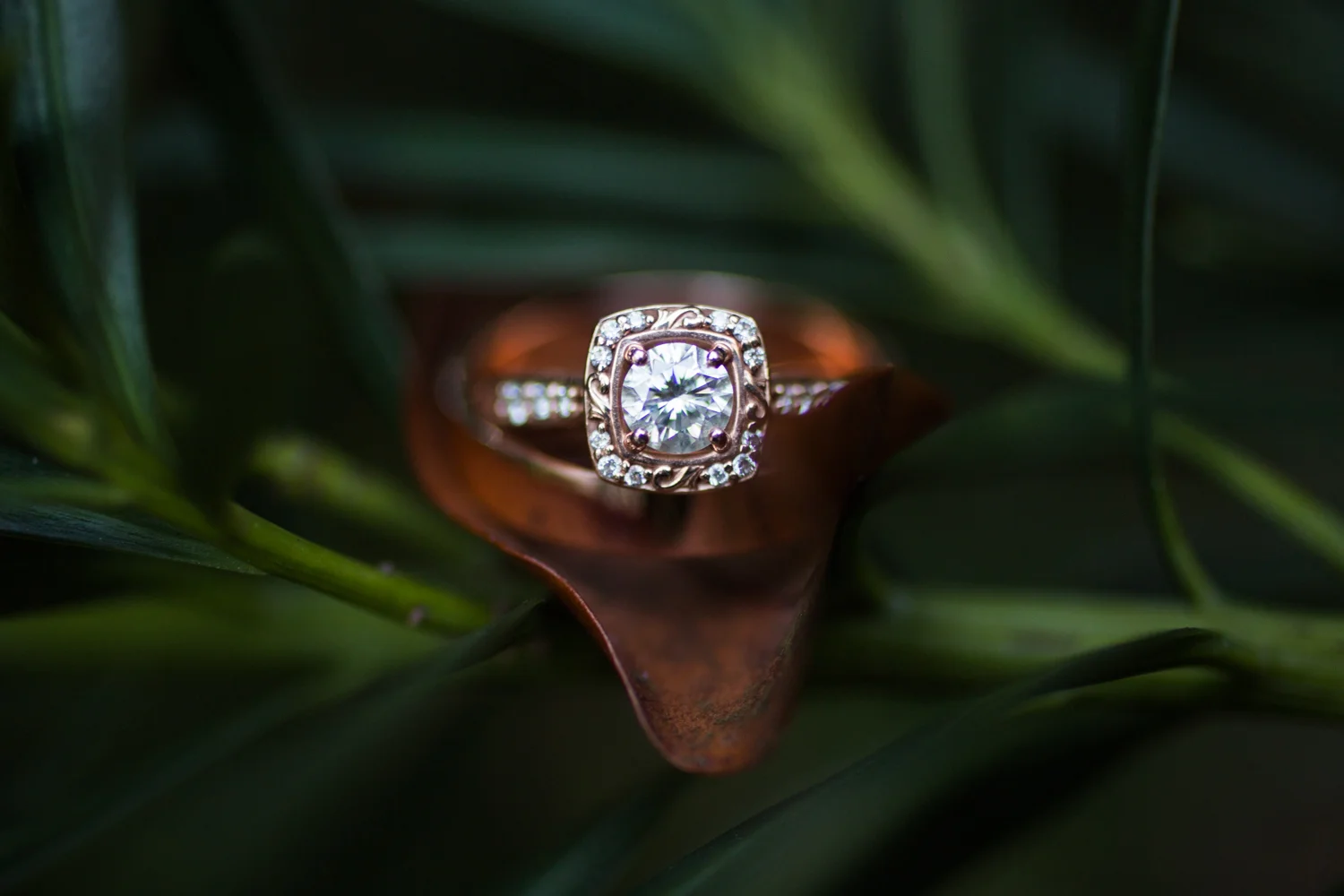 Perry James Photography (2 of 66).jpg