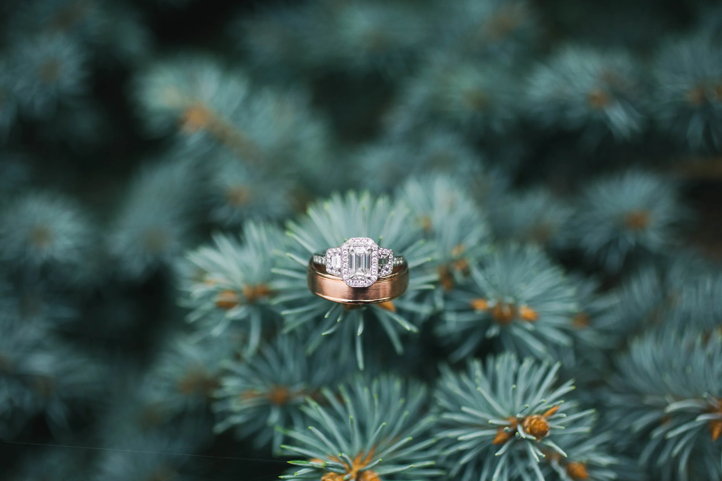 Canon EOS 5D Mark III050.jpg