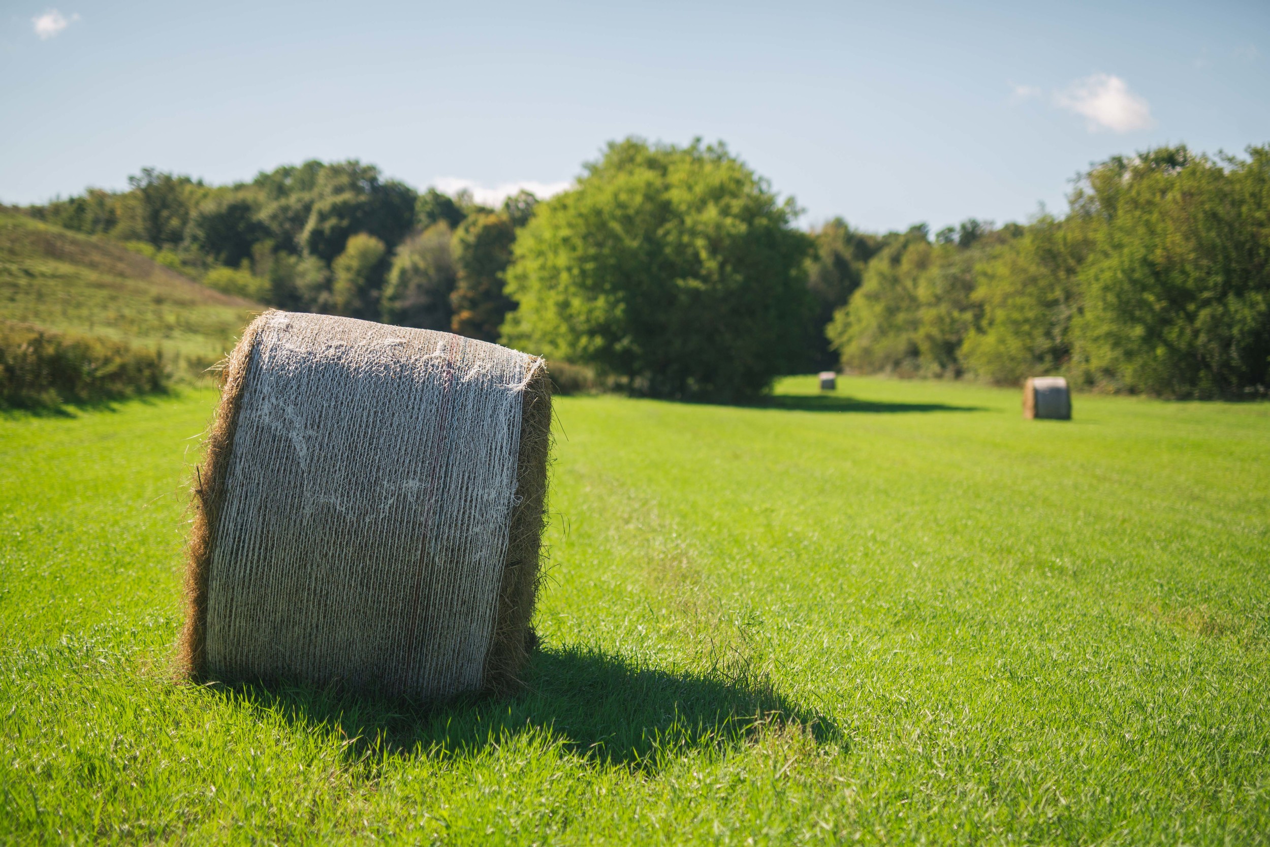 Birch Hill Barn Wedding  (4 of 108).jpg