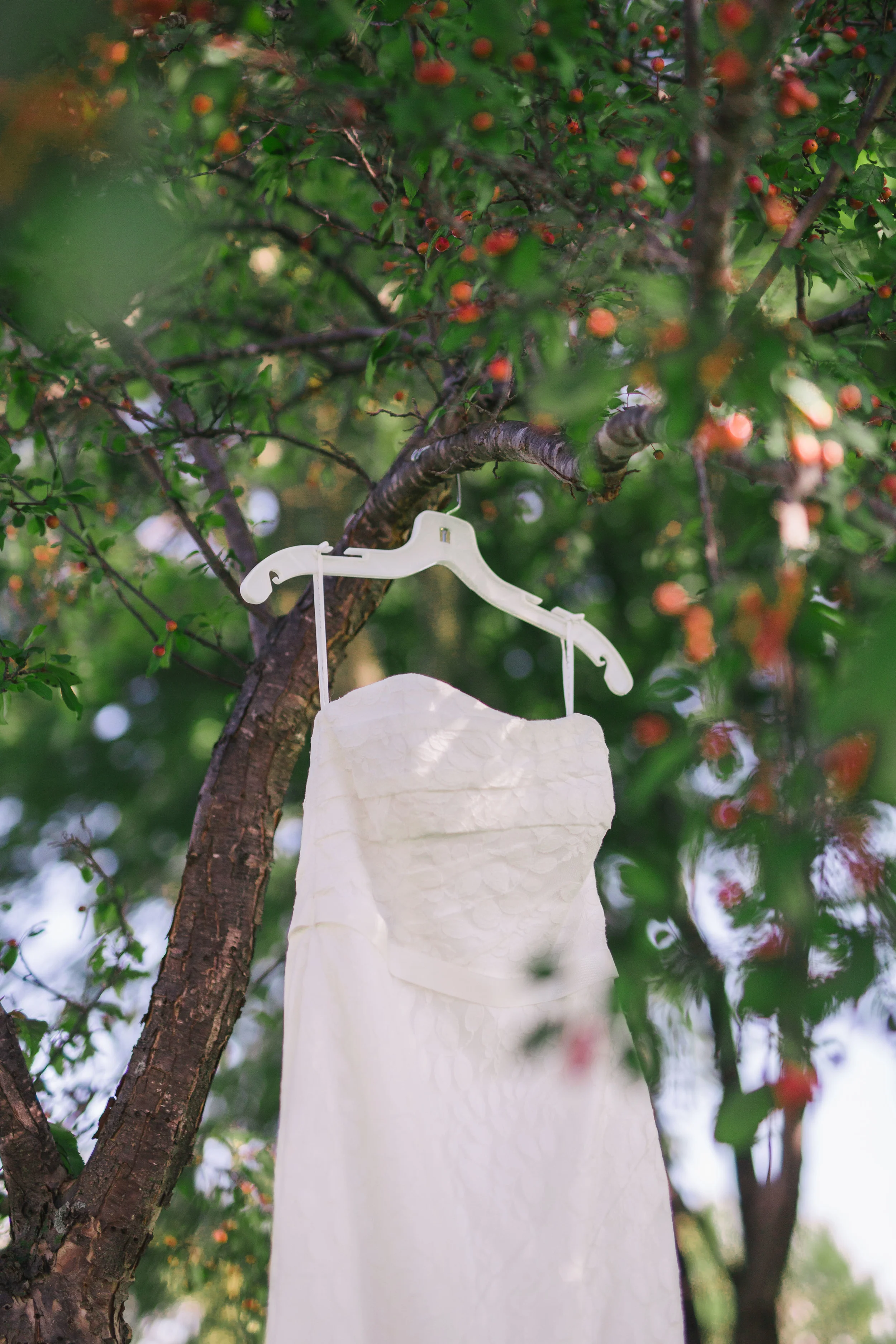 Birch Hill Barn Wedding  (20 of 108).jpg