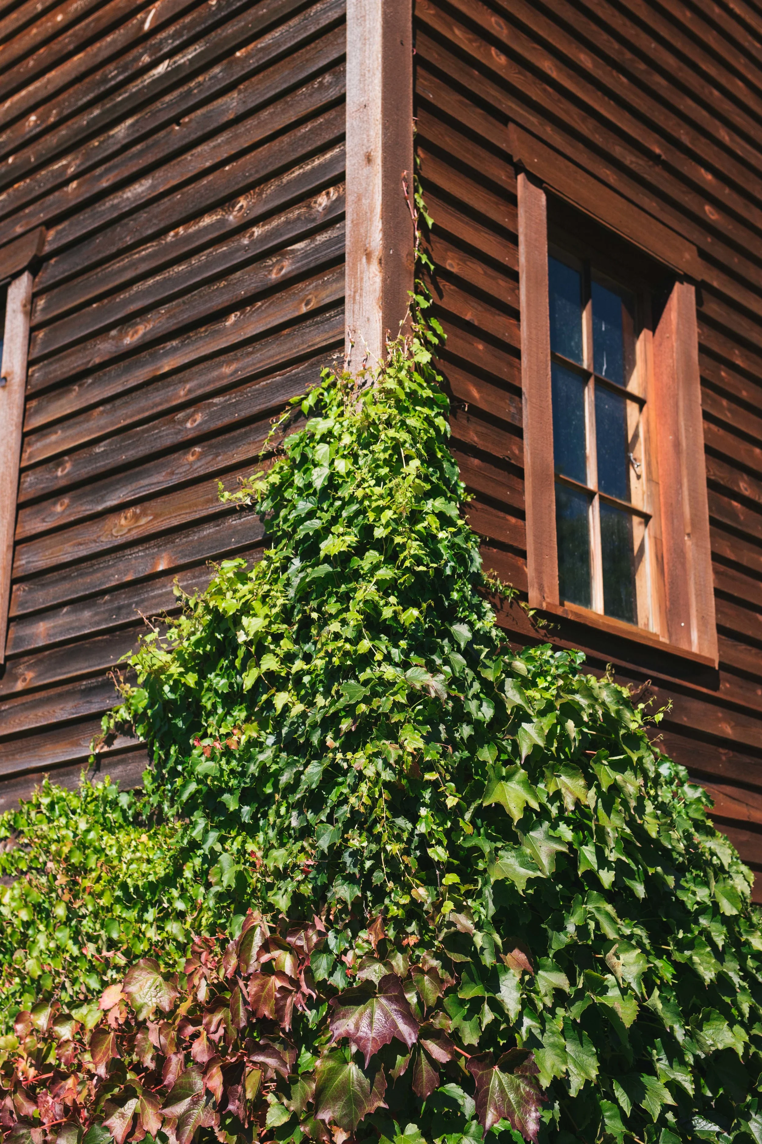 Birch Hill Barn Wedding  (25 of 108).jpg