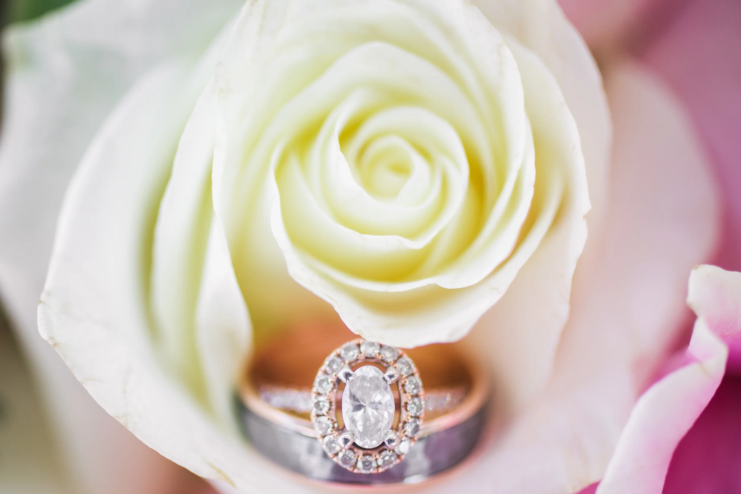 Birch Hill Barn Wedding  (62 of 108).jpg