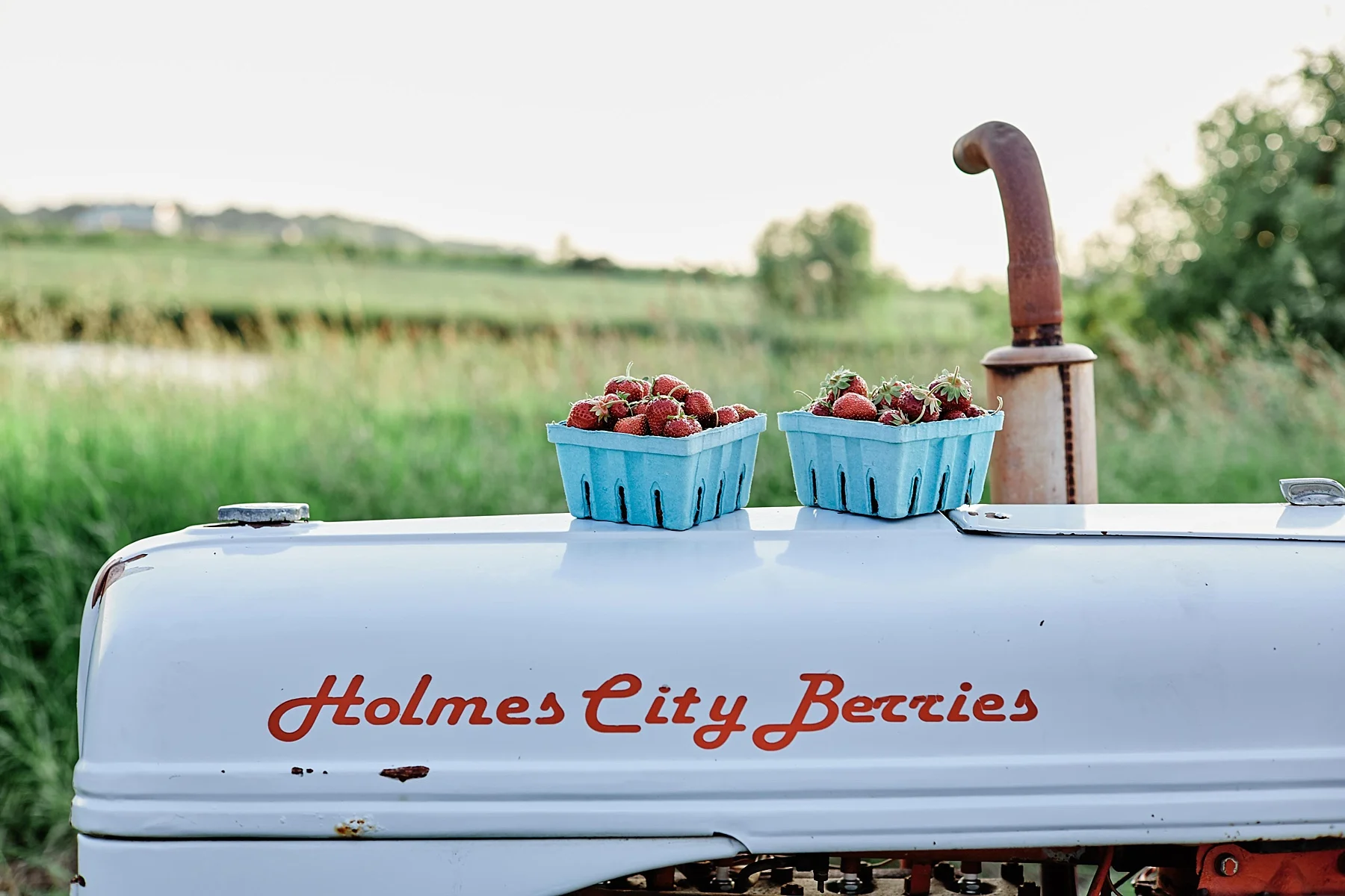 Strawberry-Farm-Engagement-Session-Alexandria-Minnesota-Outdoor_0199.jpg