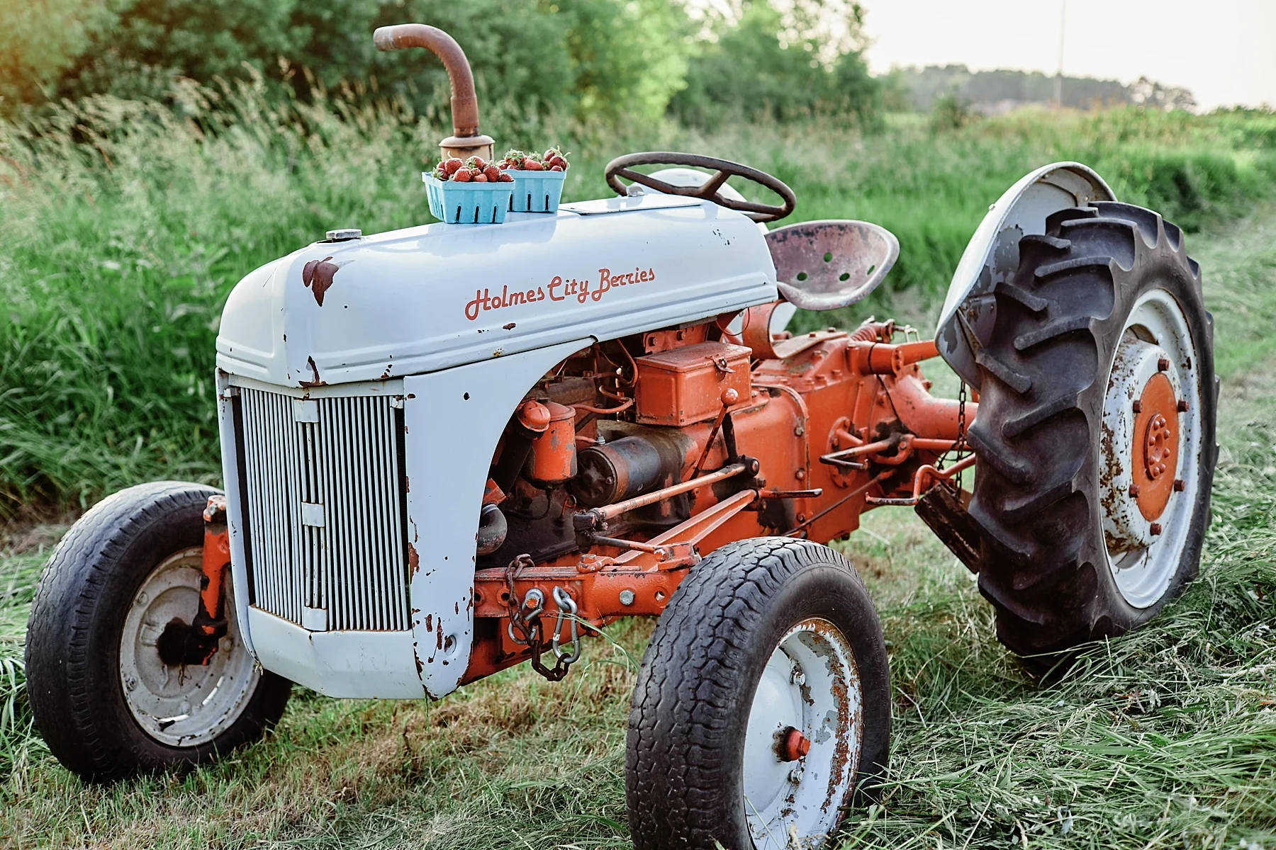 Strawberry-Farm-Engagement-Session-Alexandria-Minnesota-Outdoor_0200.jpg