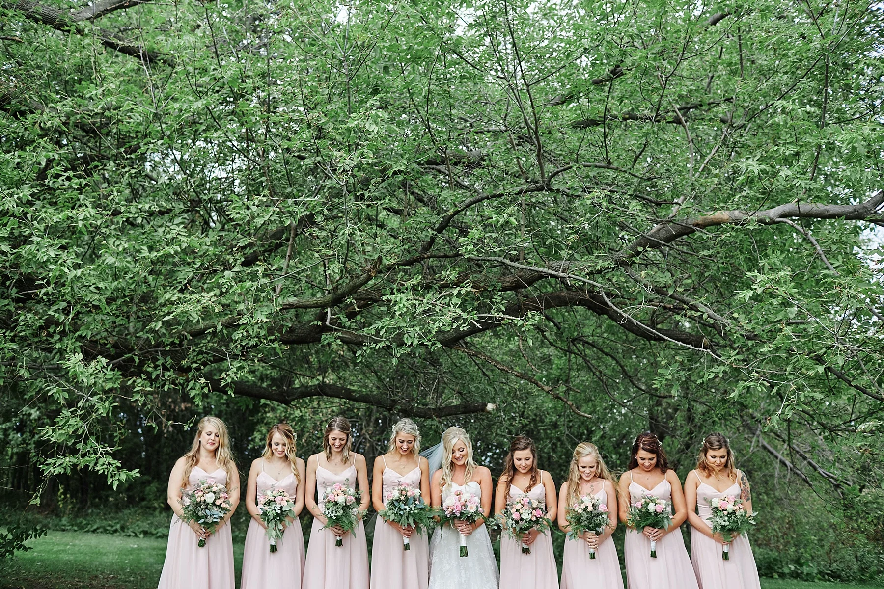 Bloom-Lake-Barn-Wedding-Schafer-Minnesota-Outdoor_0244.jpg