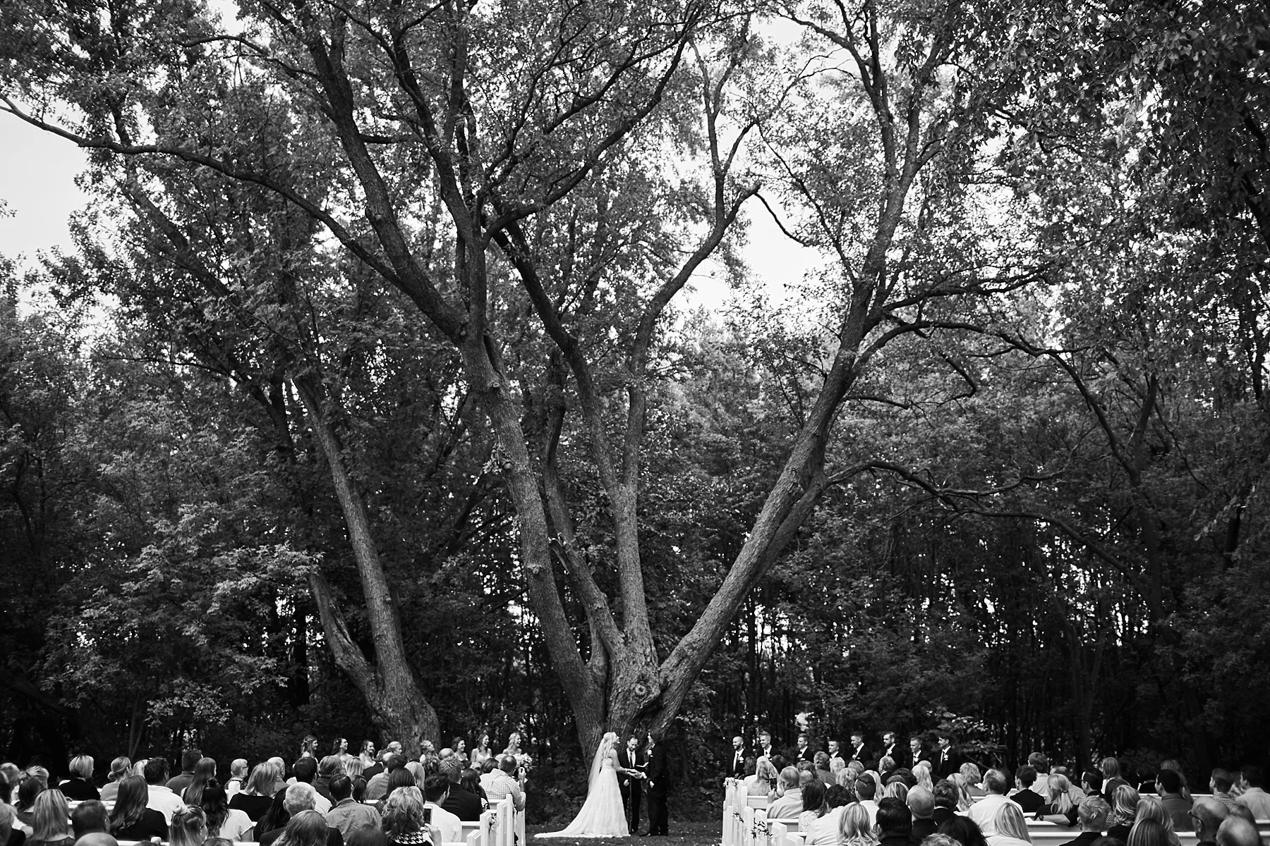 Bloom-Lake-Barn-Wedding-Schafer-Minnesota-Outdoor_0293.jpg