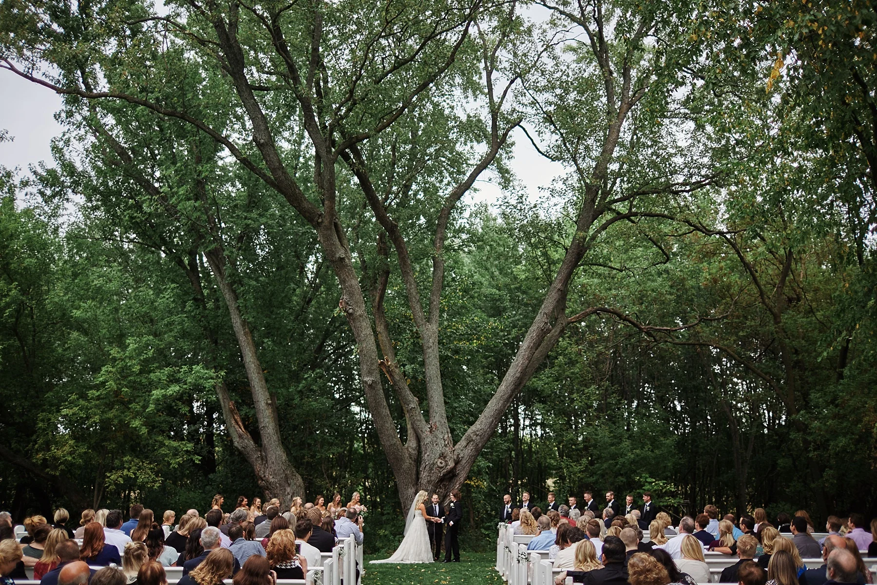 Bloom-Lake-Barn-Wedding-Schafer-Minnesota-Outdoor_0294.jpg