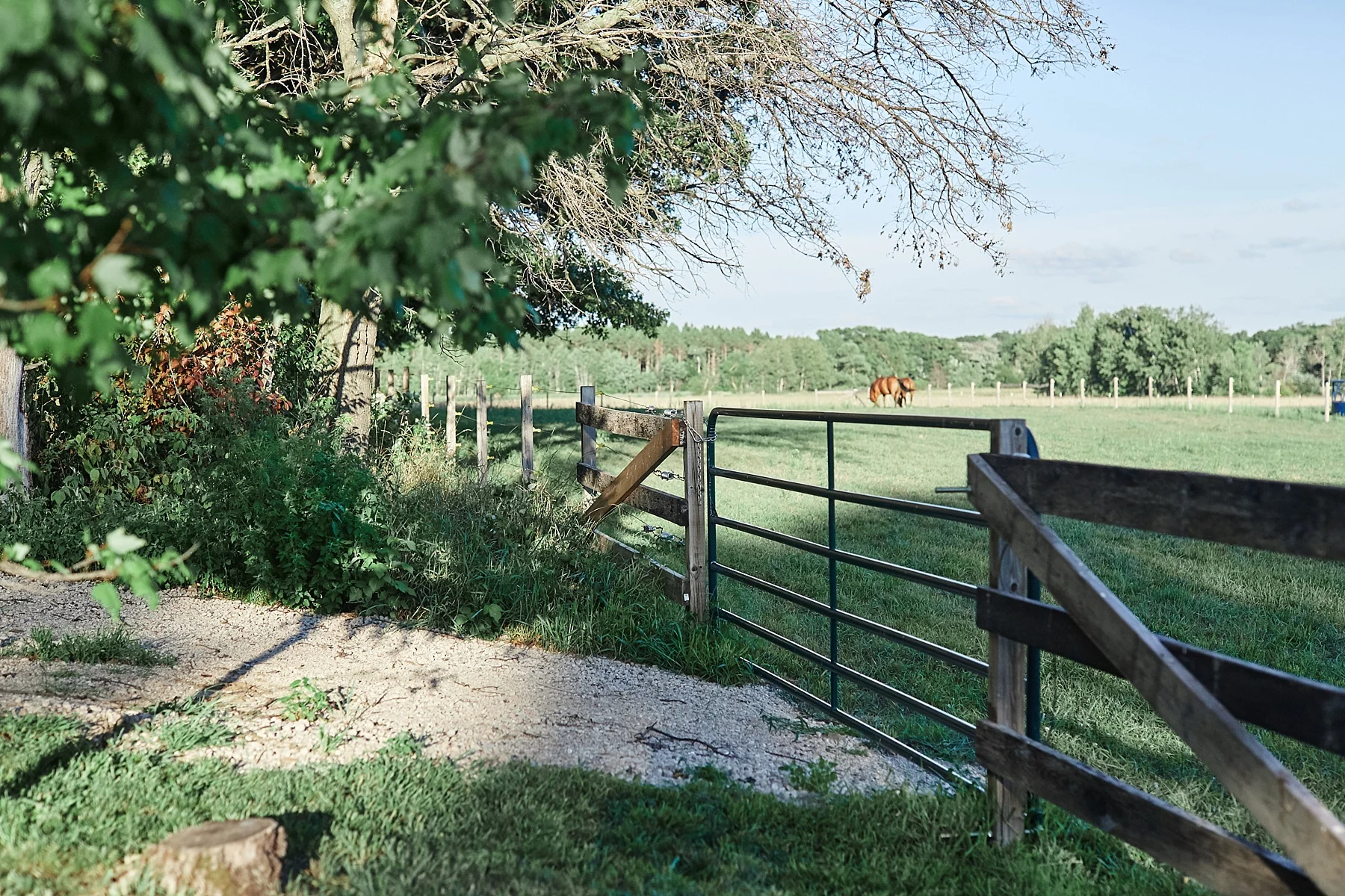 Minnesota-Engagement-Session-outdoors-Up-North-Minnesota_0363.jpg
