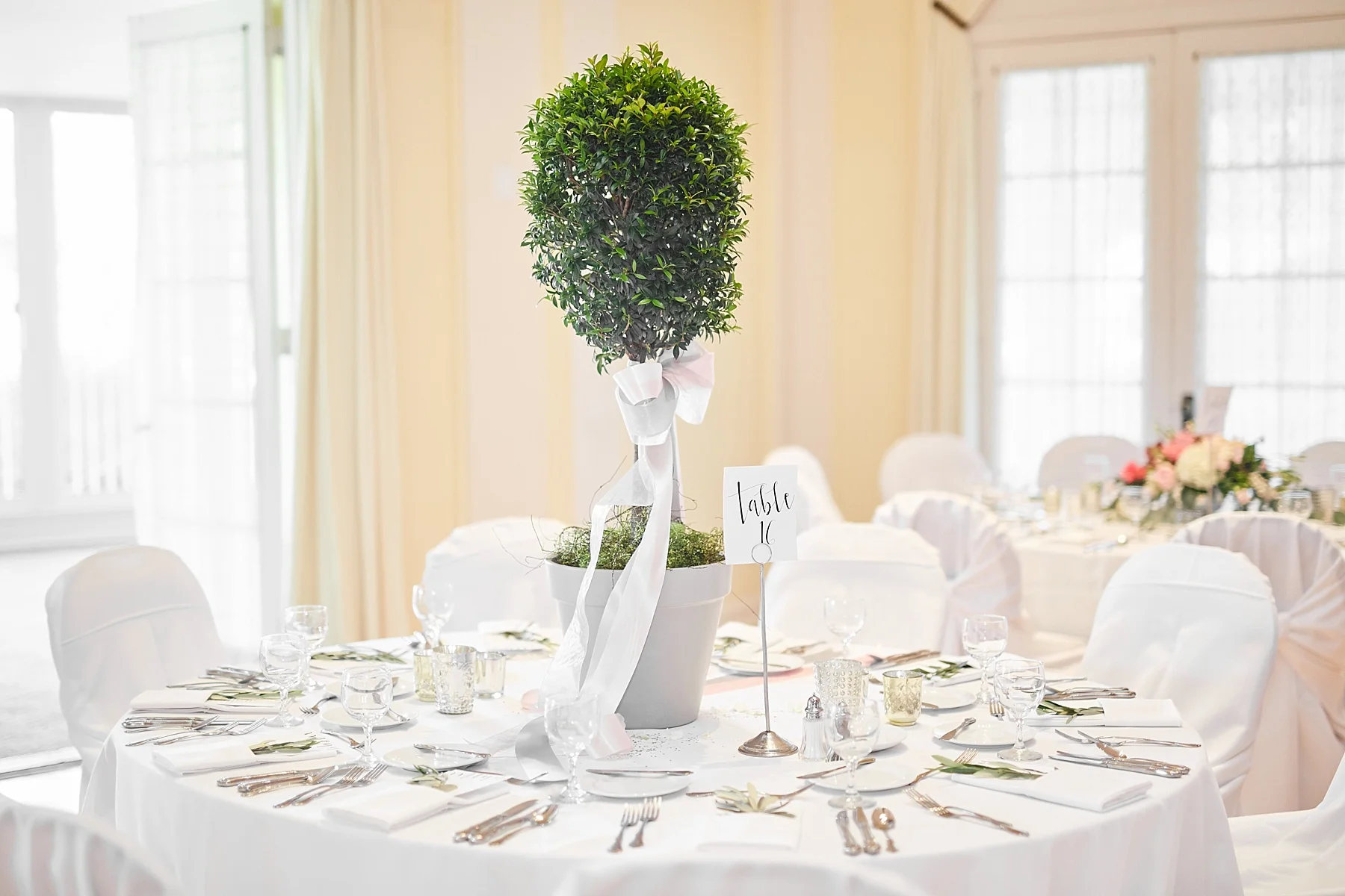 Lafayette-Club-Wedding-Wayzata-Minnesota-the-black-tux-go-glow-stuart-weutzman-lakumcollection-harvest-home-wayzata_0477.jpg