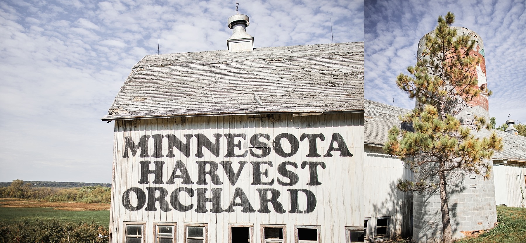 Minnesota-Harvest-Apple-Orchard-Wedding-Minneapolis_0000.jpg