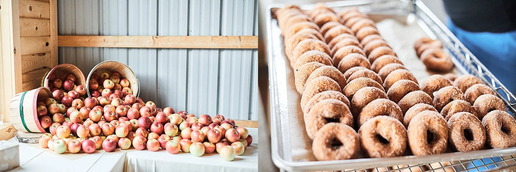Minnesota-Harvest-Apple-Orchard-Wedding-Minneapolis_0020.jpg