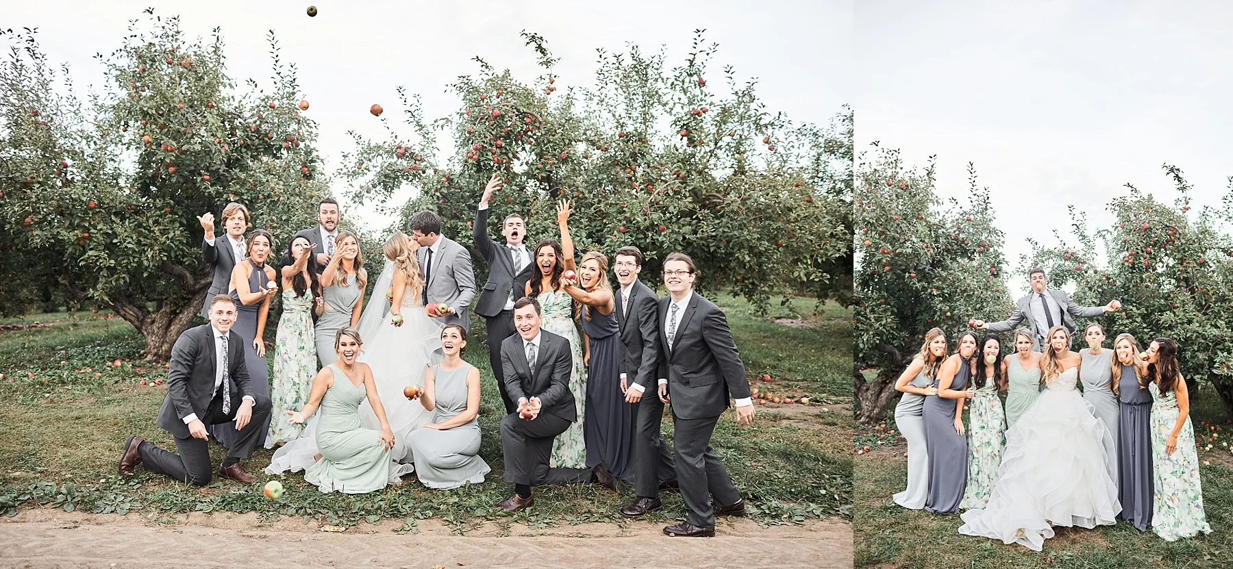 Minnesota-Harvest-Apple-Orchard-Wedding-Minneapolis_0033.jpg