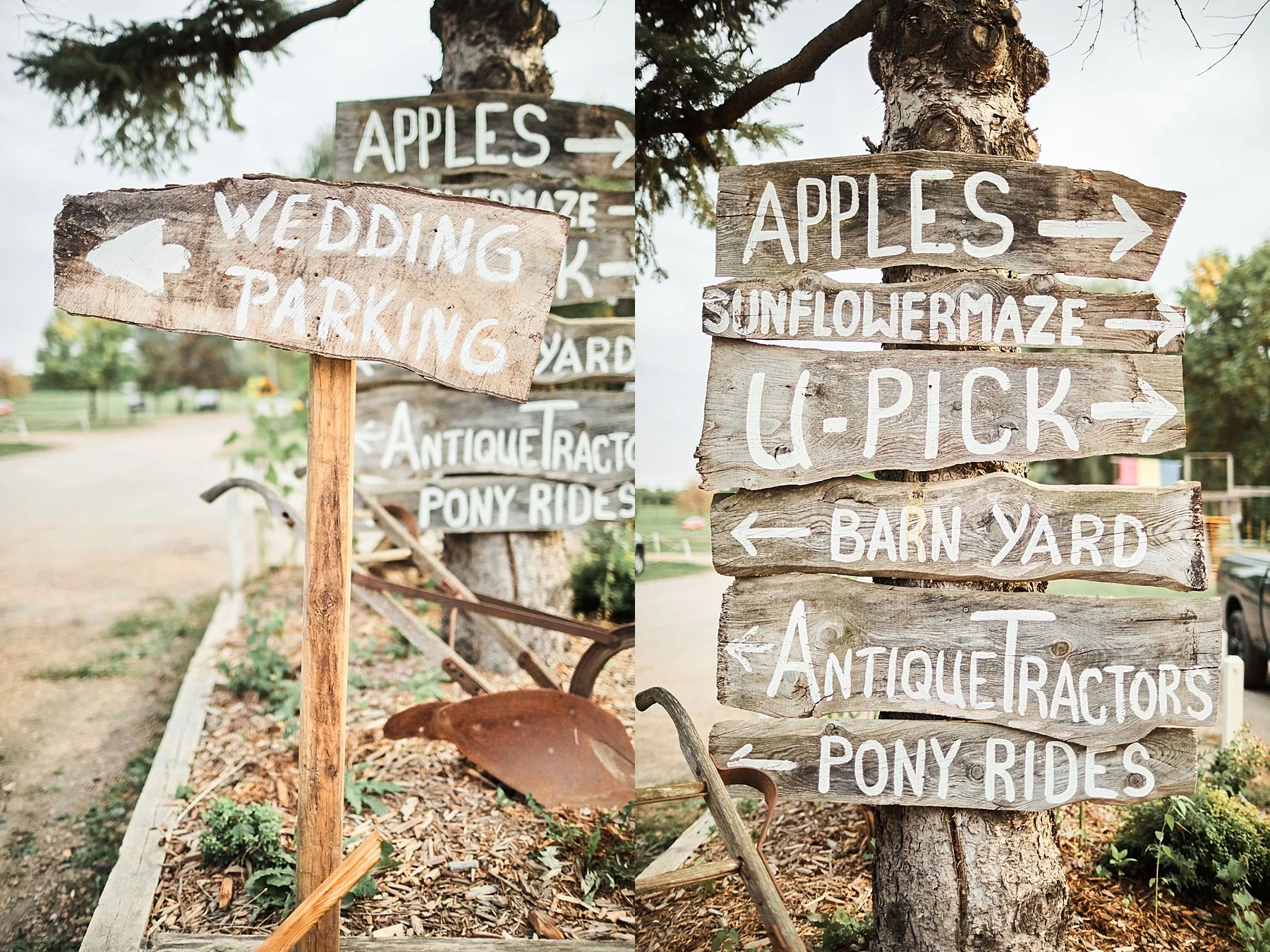 Minnesota-Harvest-Apple-Orchard-Wedding-Minneapolis_0040.jpg