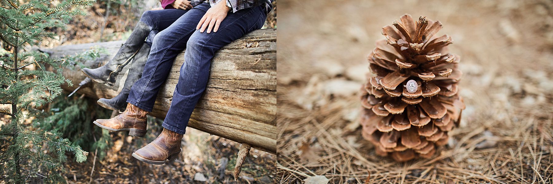 Green-Valley-southern-California-engagement-session-destination-wedding-photography-los-angeles_0010.jpg