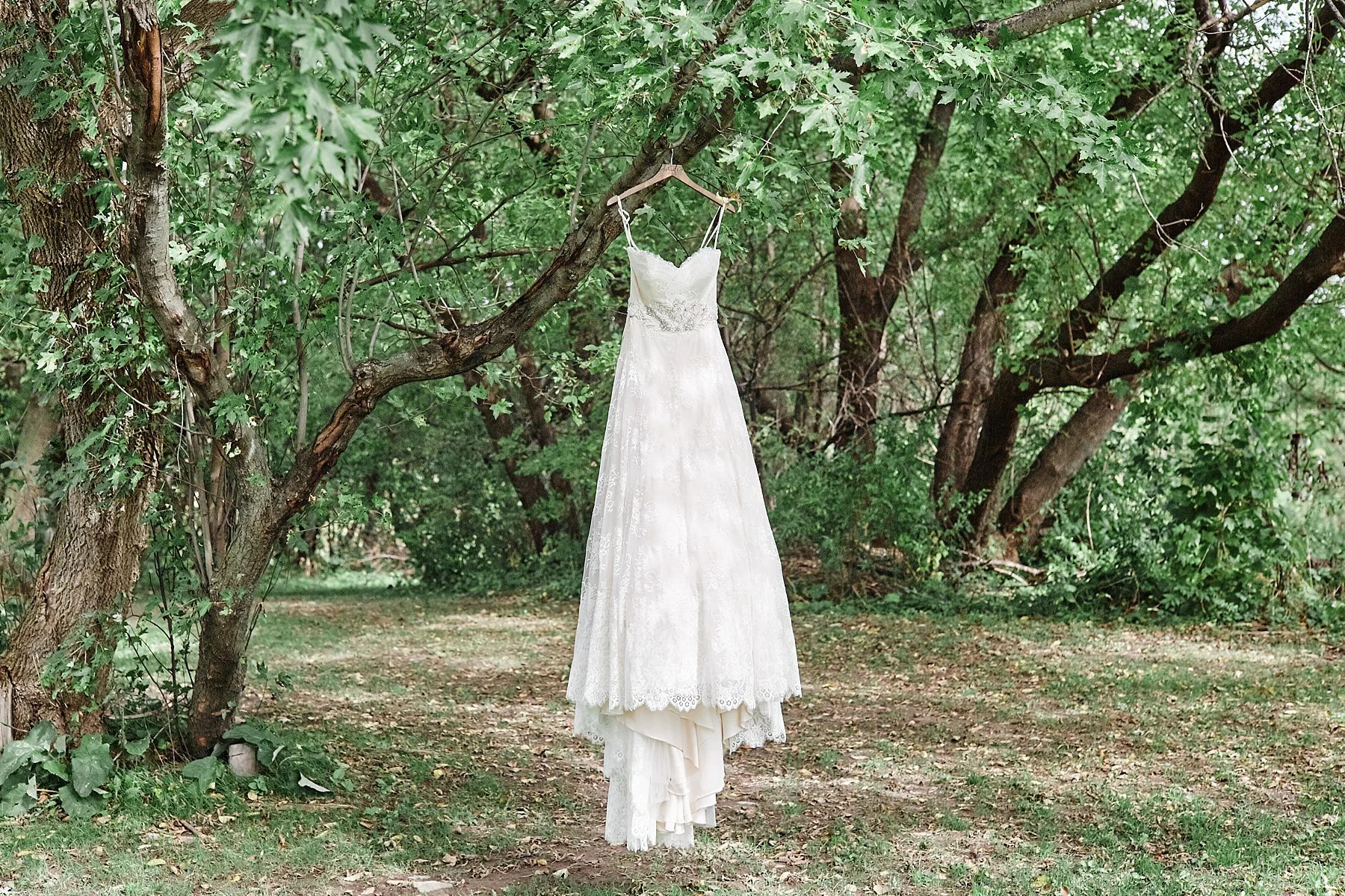 Bloom-Lake-Barn-Wedding-Schafer-Minnesota-Outdoor_0219.jpg