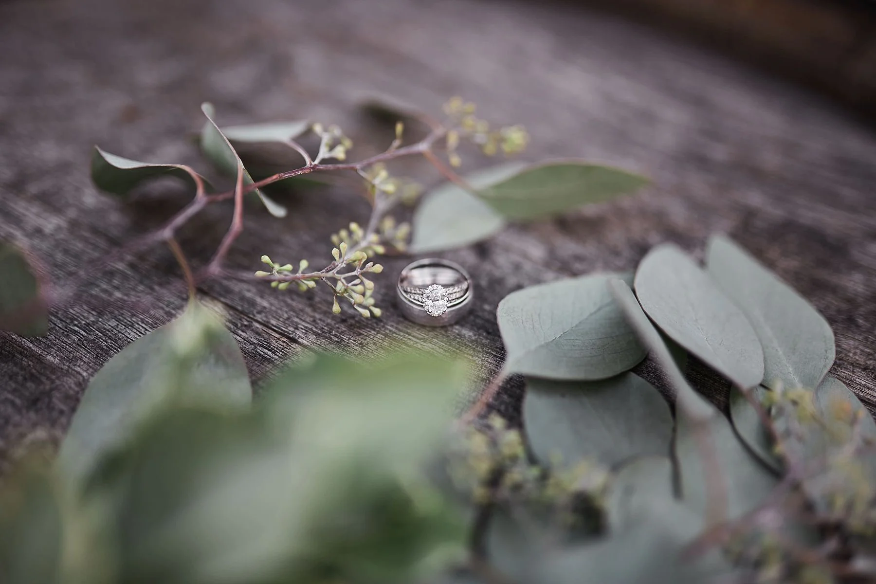 The-Historic-Hope-Glen-Farm-Wedding-Kelsi-Austin-Minnesota_1216.jpg