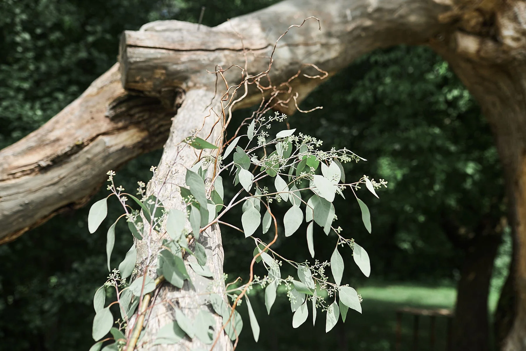 The-Historic-Hope-Glen-Farm-Wedding-Kelsi-Austin-Minnesota_1257.jpg