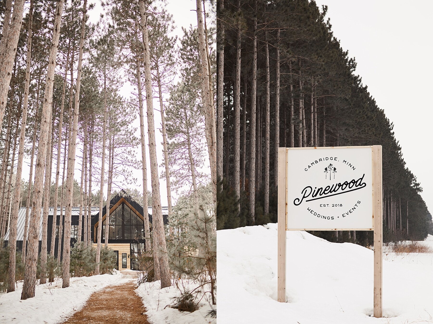 hansen-tree-farm-winter-engagement-photos_0022.jpg