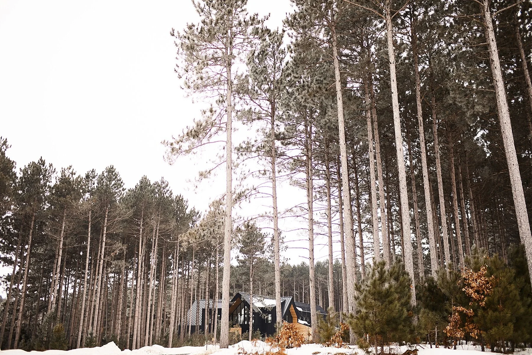pinewood-winter-wedding-minnesota-brett-michelle_0027.jpg
