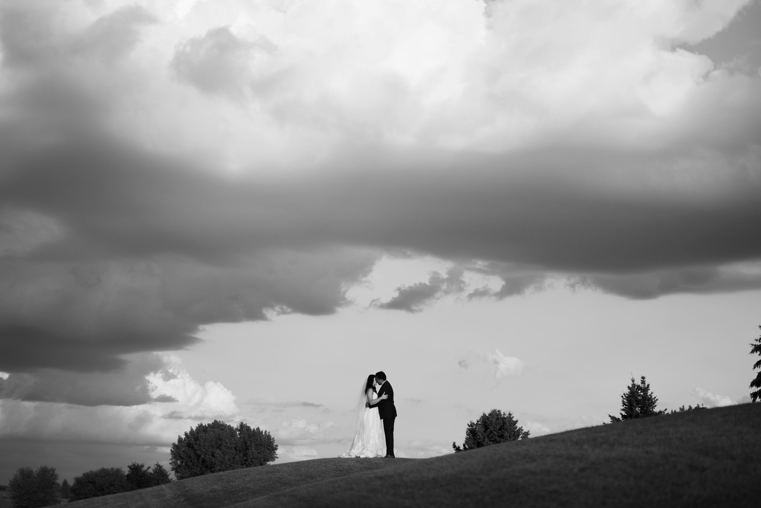 Alexa-Bryan-Woodhaven-Wedding999.jpg