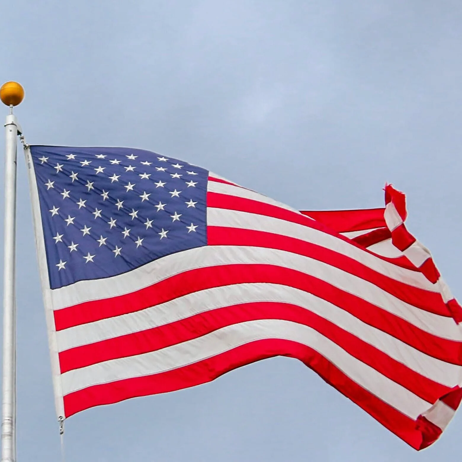 The Church's Role in Politics, Fake Polls, and the 2020 Election