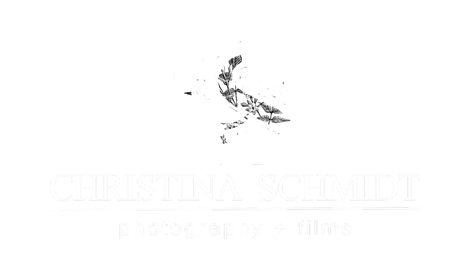 STL Wedding + Brand Photographer