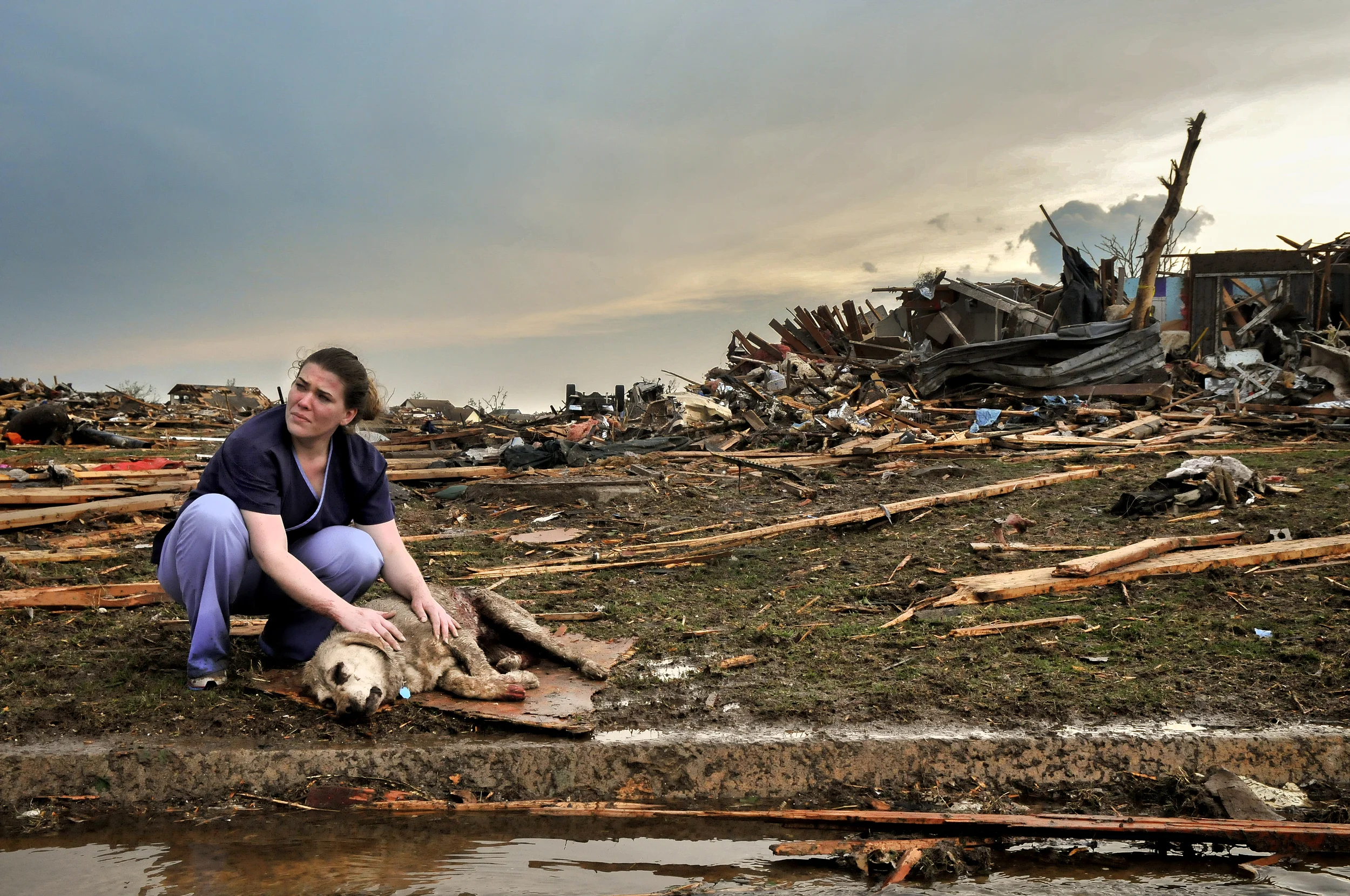 Tiffany Bauman comforts a dying dog that was injured by the EF5 tornado on May, 20 in the Westmoor Neighborhood in Moore Oklahoma