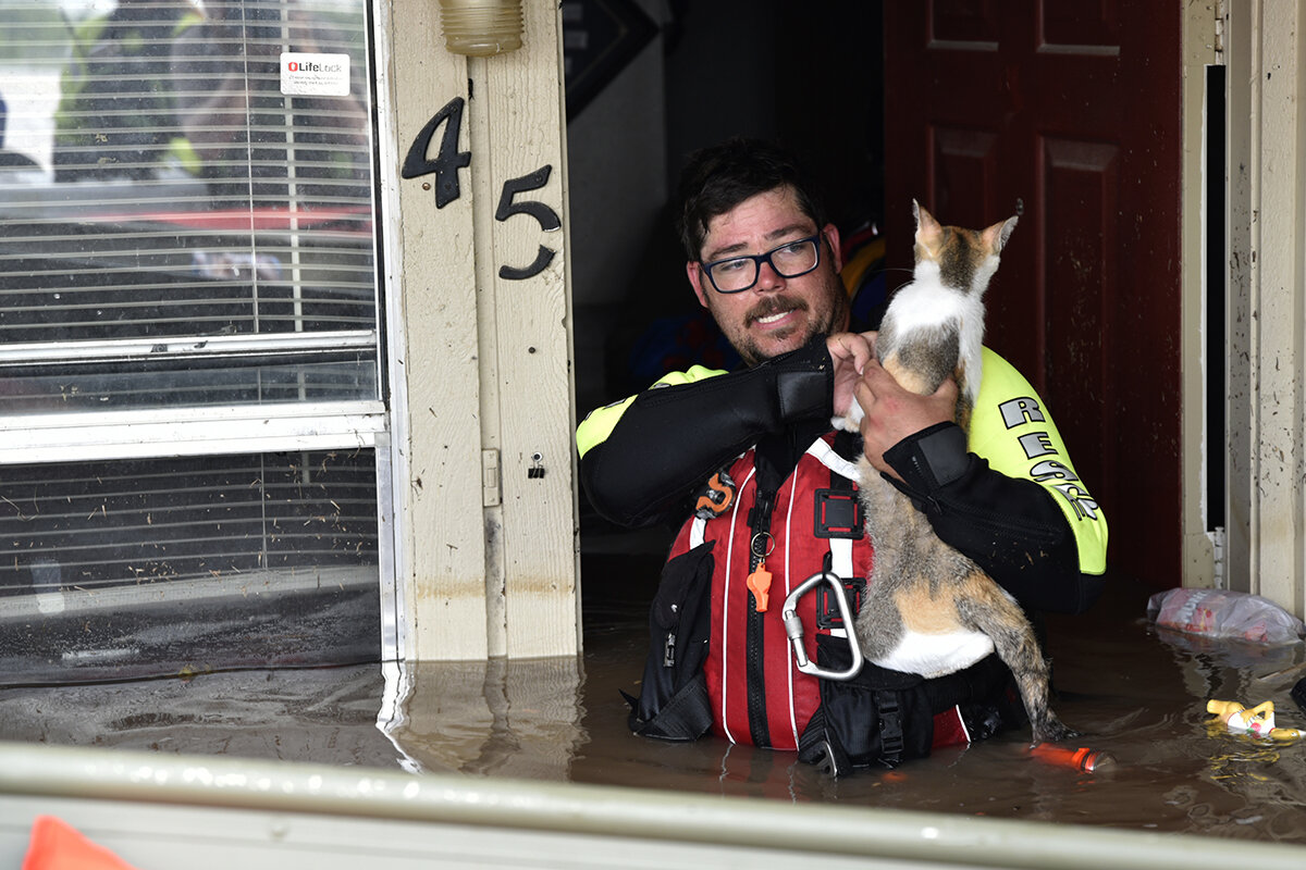   Firefighter Shawn Smith rescues a cat that was trapped in a flooded home in Webber's Falls, Oklahoma. Nick Oxford for The New York Times 