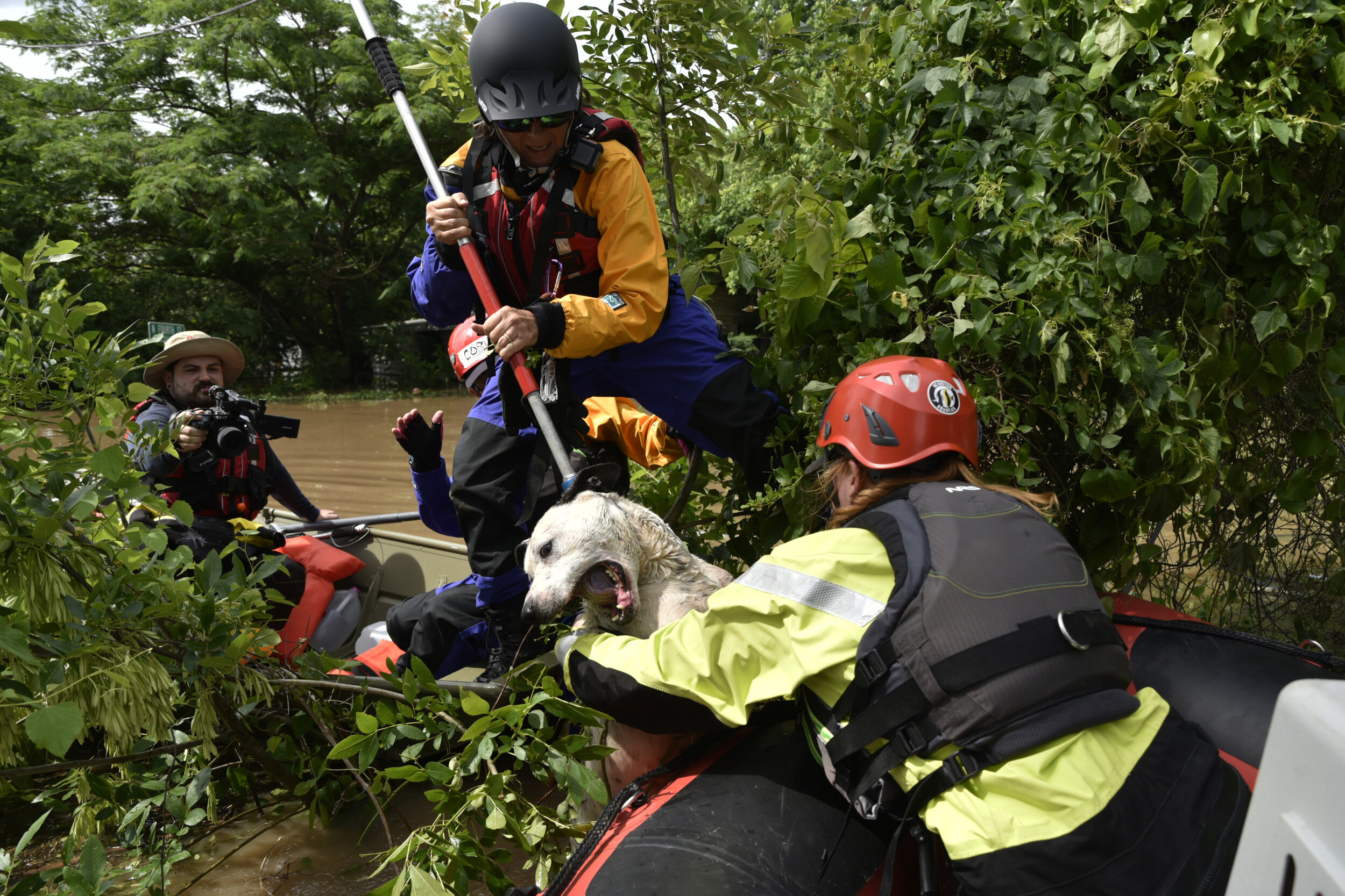  Rescuers work to save a dog trapped in floodwaters in Webber's Falls, Oklahoma. Record flooding forced the immediate evacuation of residents, some who could not take their animals with them.  Nick Oxford for The New York Times 