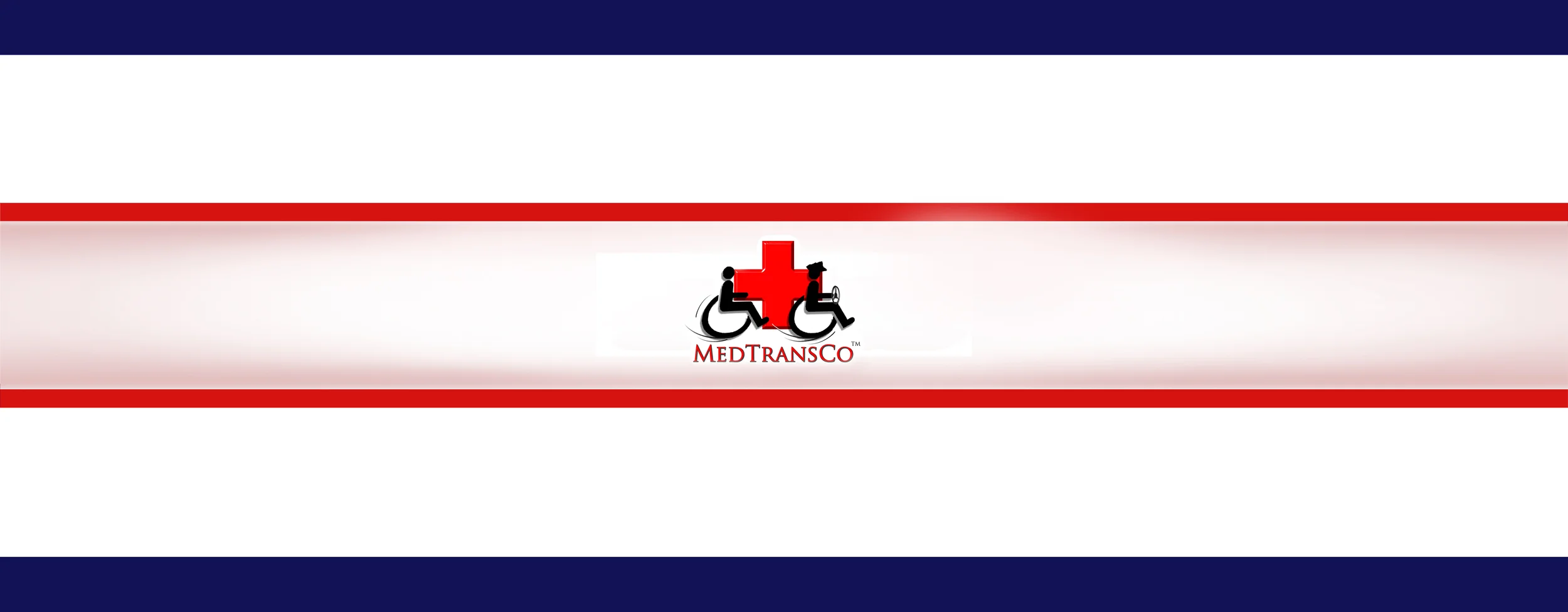 PYXIDIS GROUP WEBSITE GRAPHIC - for the MedTransco page.jpg