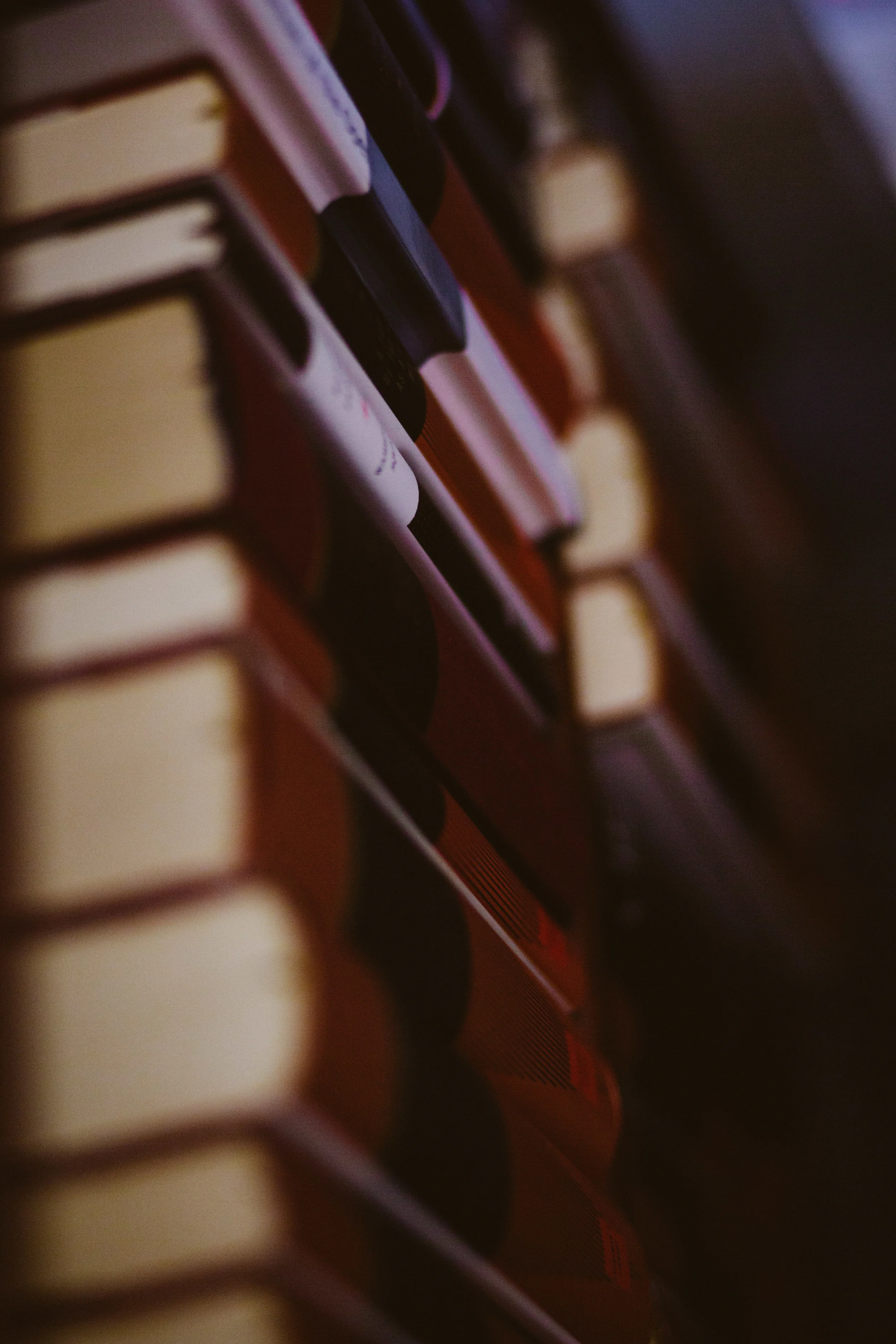 Calamo Books-8147.jpg