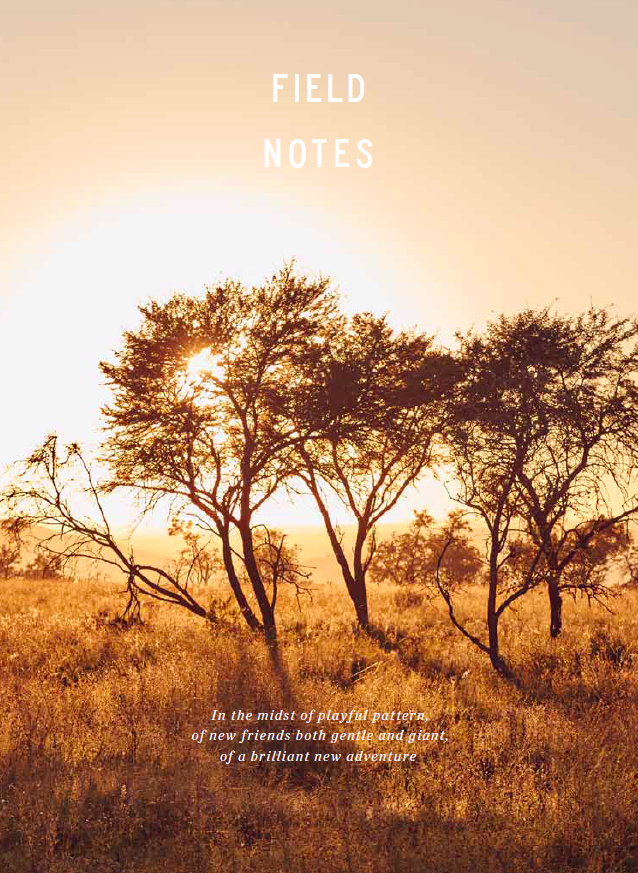 Field Notes